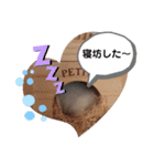 ハムすた ざらめちゃん♪（個別スタンプ：14）