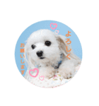 バブ♡ライ♡そら♡（個別スタンプ：2）