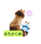 悟空と銀のお話2！！（個別スタンプ：2）
