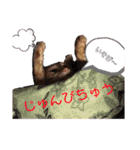 悟空と銀のお話2！！（個別スタンプ：9）