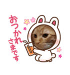 悟空と銀のお話2！！（個別スタンプ：28）