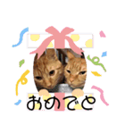 悟空と銀のお話2！！（個別スタンプ：31）