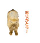 ライオンラビットのモカさん2（個別スタンプ：2）