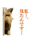 ライオンラビットのモカさん2（個別スタンプ：4）