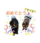 チョココの可愛いスタンプ（個別スタンプ：20）