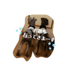 しゅな犬（個別スタンプ：6）