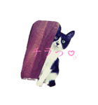 MARU_chan ここだよ！（個別スタンプ：2）