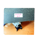MARU_chan ここだよ！（個別スタンプ：3）