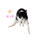 MARU_chan ここだよ！（個別スタンプ：4）