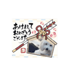 マルックスのバロンくん3（個別スタンプ：1）