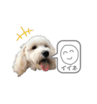マルックスのバロンくん3（個別スタンプ：8）