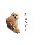 マルックスのバロンくん3（個別スタンプ：32）