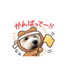 マルックスのバロンくん3（個別スタンプ：33）