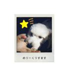 マルックスのバロンくん3（個別スタンプ：40）