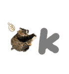 しばキャッツ（個別スタンプ：6）
