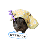 うさぎのここちゃんスタンプ（lukacoco）（個別スタンプ：4）