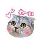 猫のぐうスタンプ（個別スタンプ：1）