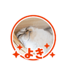 猫のぐうスタンプ（個別スタンプ：4）