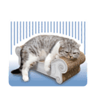 猫のぐうスタンプ（個別スタンプ：18）