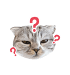 猫のぐうスタンプ（個別スタンプ：21）