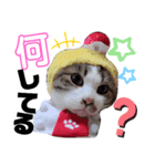 しくまる（個別スタンプ：3）