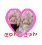 しくまる（個別スタンプ：6）