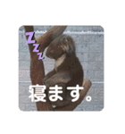 1歳くらいの恵茉（個別スタンプ：6）