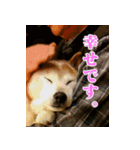ハヤちゃん大好き（個別スタンプ：4）