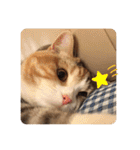 毎日ほっこりさくちゃん6（個別スタンプ：5）