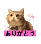 毎日ほっこりさくちゃん6（個別スタンプ：10）