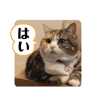 毎日ほっこりさくちゃん6（個別スタンプ：14）