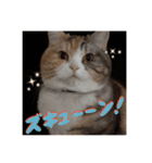 毎日ほっこりさくちゃん6（個別スタンプ：16）