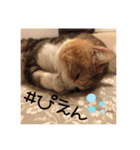 毎日ほっこりさくちゃん6（個別スタンプ：23）