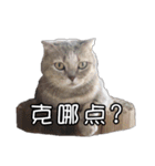 猫も昆明方言（個別スタンプ：9）