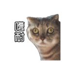 猫も昆明方言（個別スタンプ：26）