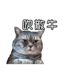 猫も昆明方言（個別スタンプ：35）