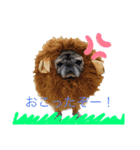 PUG♡♡♡（個別スタンプ：5）