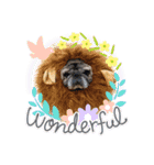 PUG♡♡♡（個別スタンプ：6）
