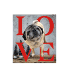 PUG♡♡♡（個別スタンプ：8）