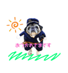 PUG♡♡♡（個別スタンプ：9）