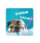 PUG♡♡♡（個別スタンプ：10）