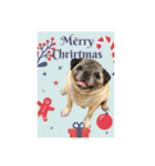PUG♡♡♡（個別スタンプ：14）