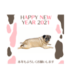 PUG♡♡♡（個別スタンプ：15）