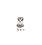 ぬまきゃら（個別スタンプ：11）