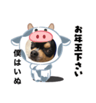じろの日常2（個別スタンプ：1）