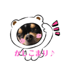 じろの日常2（個別スタンプ：5）