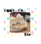 てんのもふもふぽめスタンプ（個別スタンプ：15）