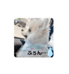 てんのもふもふぽめスタンプ（個別スタンプ：18）