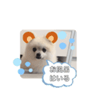 てんのもふもふぽめスタンプ（個別スタンプ：27）