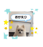 てんのもふもふぽめスタンプ（個別スタンプ：38）